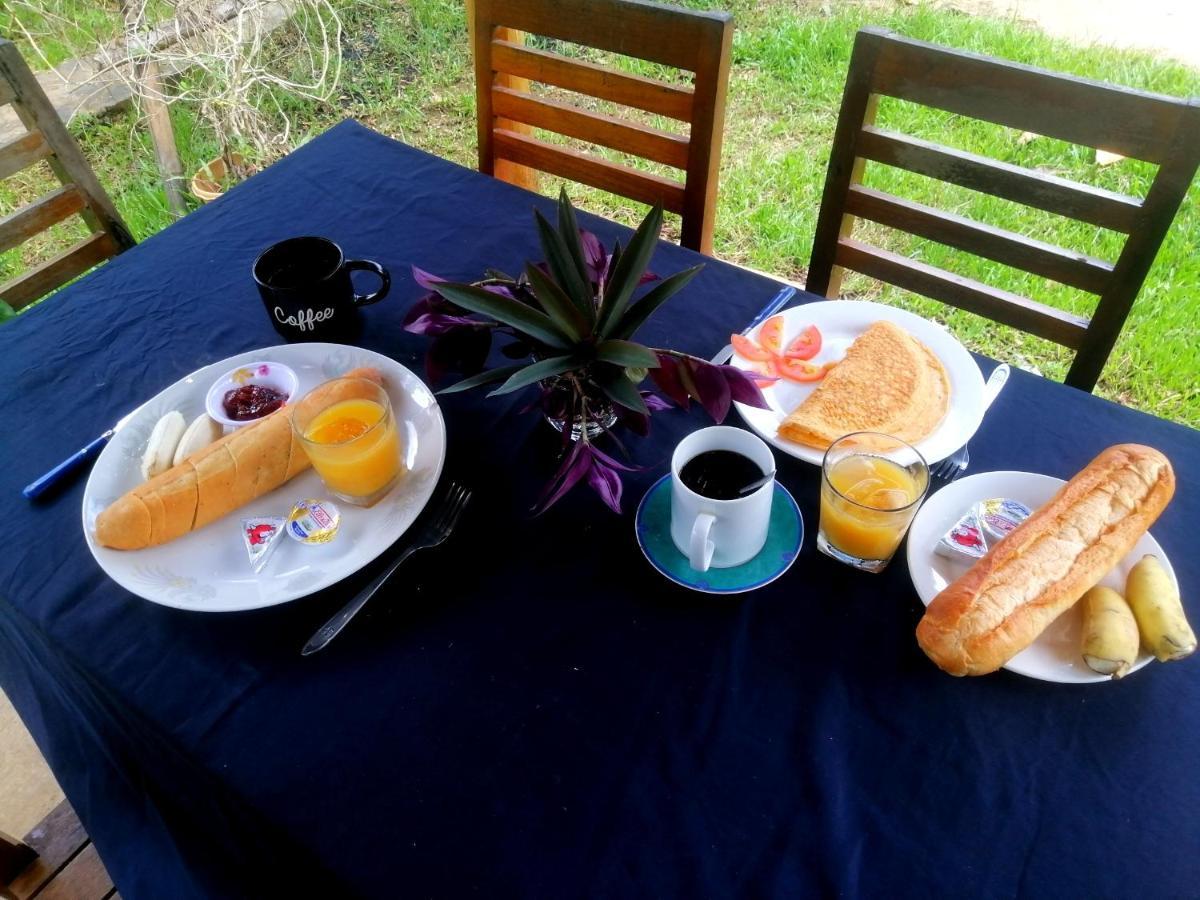Tortuga Guesthouse 캄폿 외부 사진